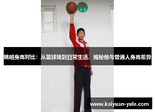 姚明身高对比：从篮球场到日常生活，揭秘他与普通人身高差异